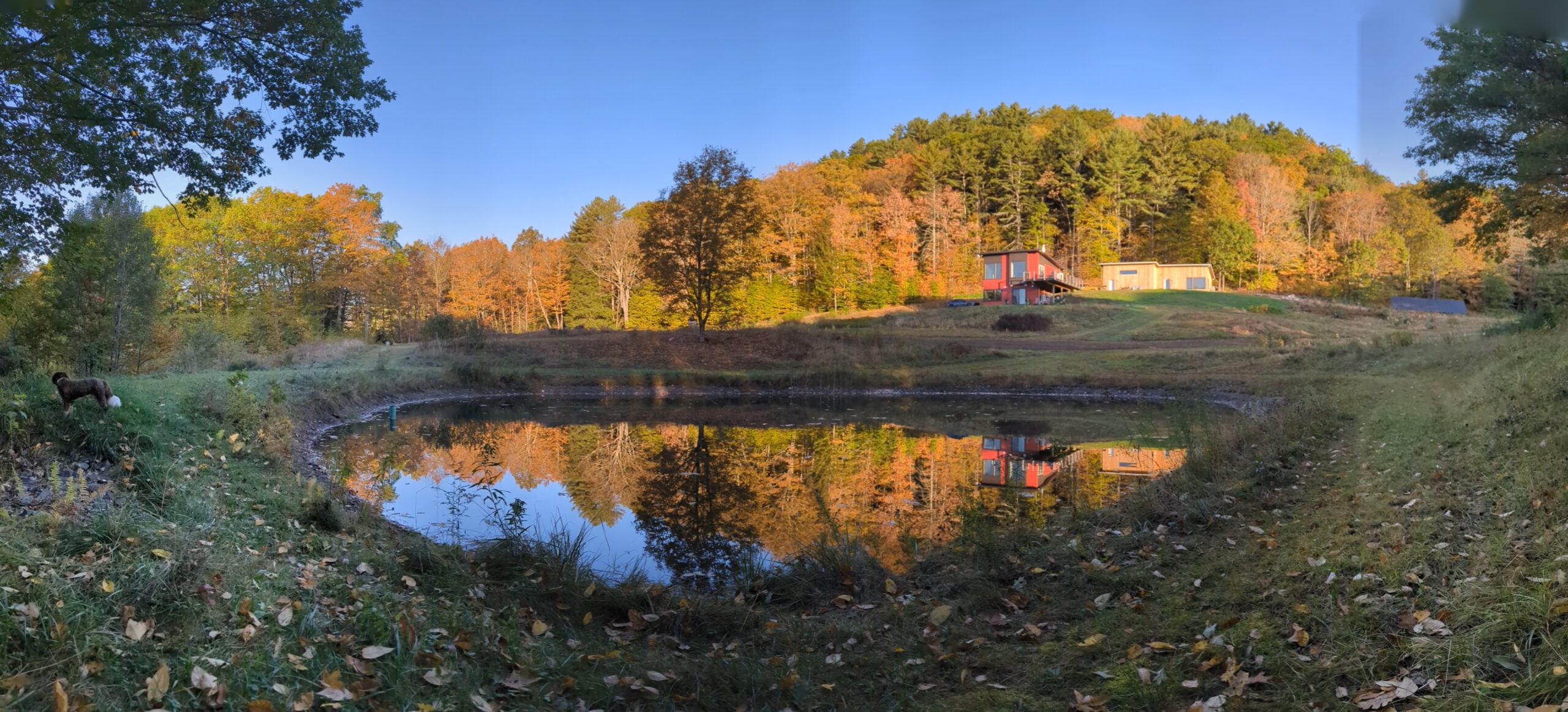 pxl 20251005 115914647.pano